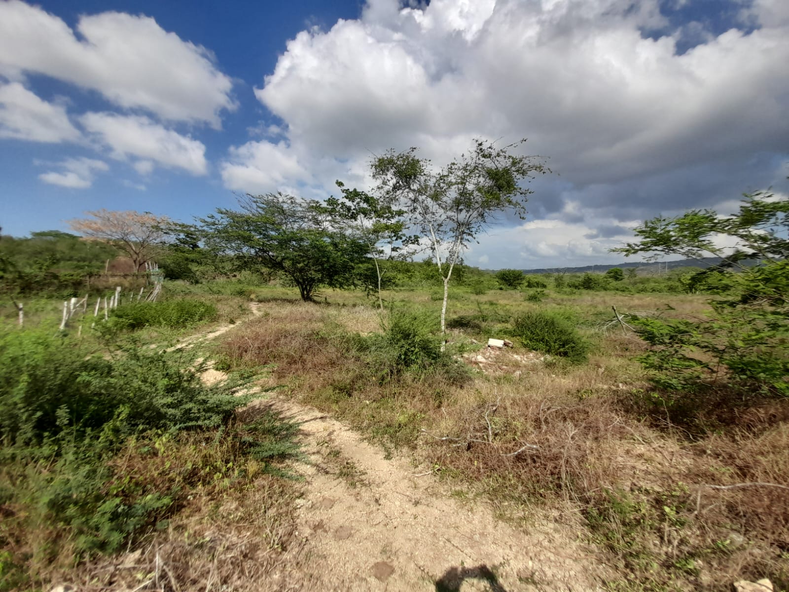 LOTE EN VENTA VARIANTE VÌA MAMONAL - CARTAGENA