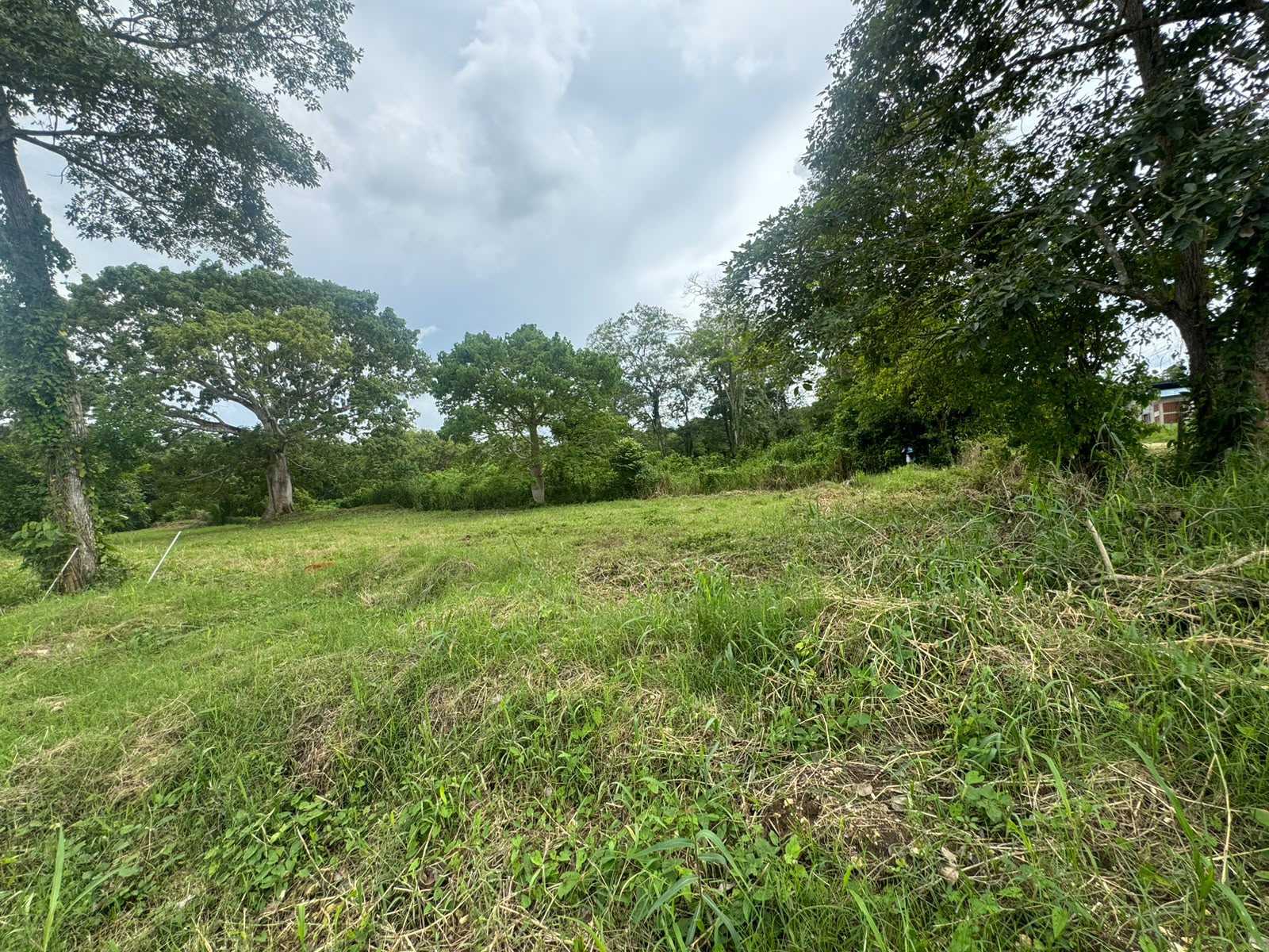 LOTE PARA VENTA EN SANTA ROSA CARTAGENA