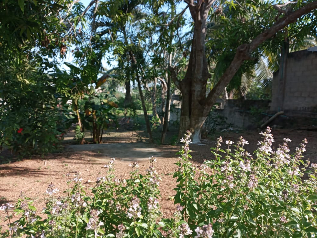 Turbaco Venta Casa Lote Turbaco