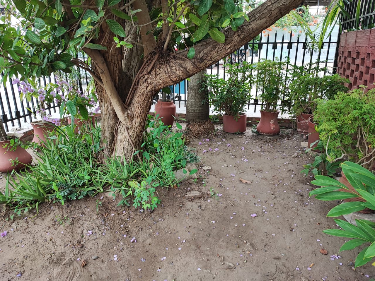 CASA COMERCIAL EN ARRIENDO MANGA  – CARTAGENA