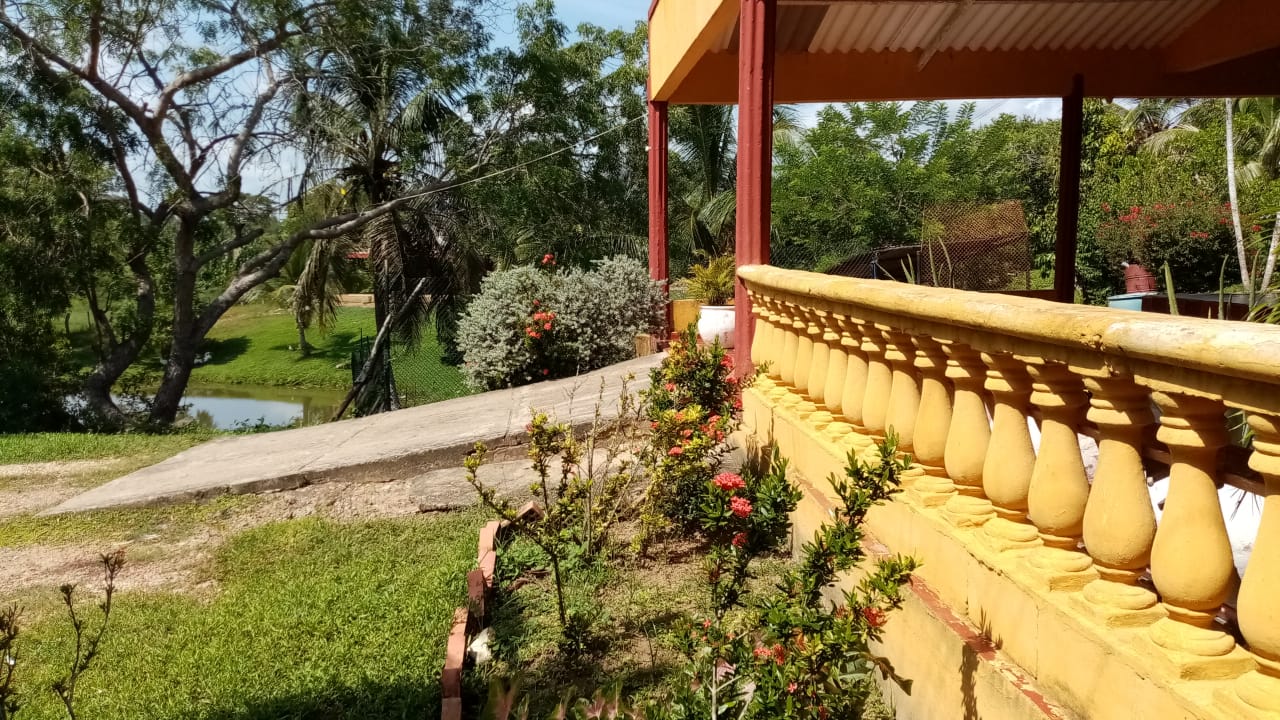 FINCA EN VENTA EN LA CORDIALIDAD - BOLIVAR
