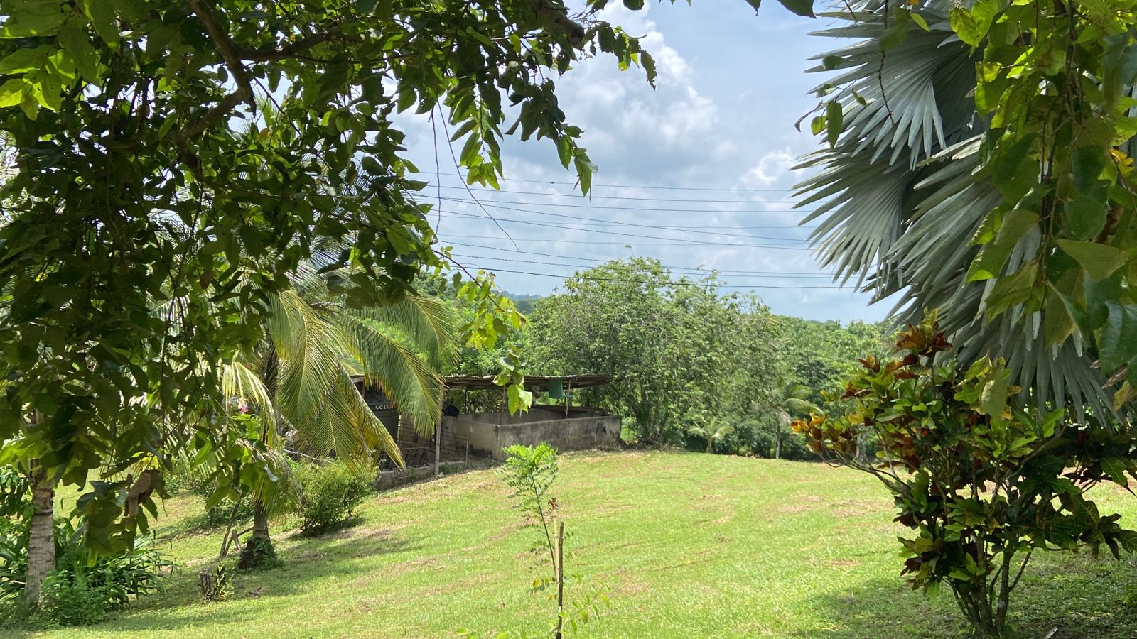 FINCA EN VENTA EN LA CORDIALIDAD - BOLIVAR
