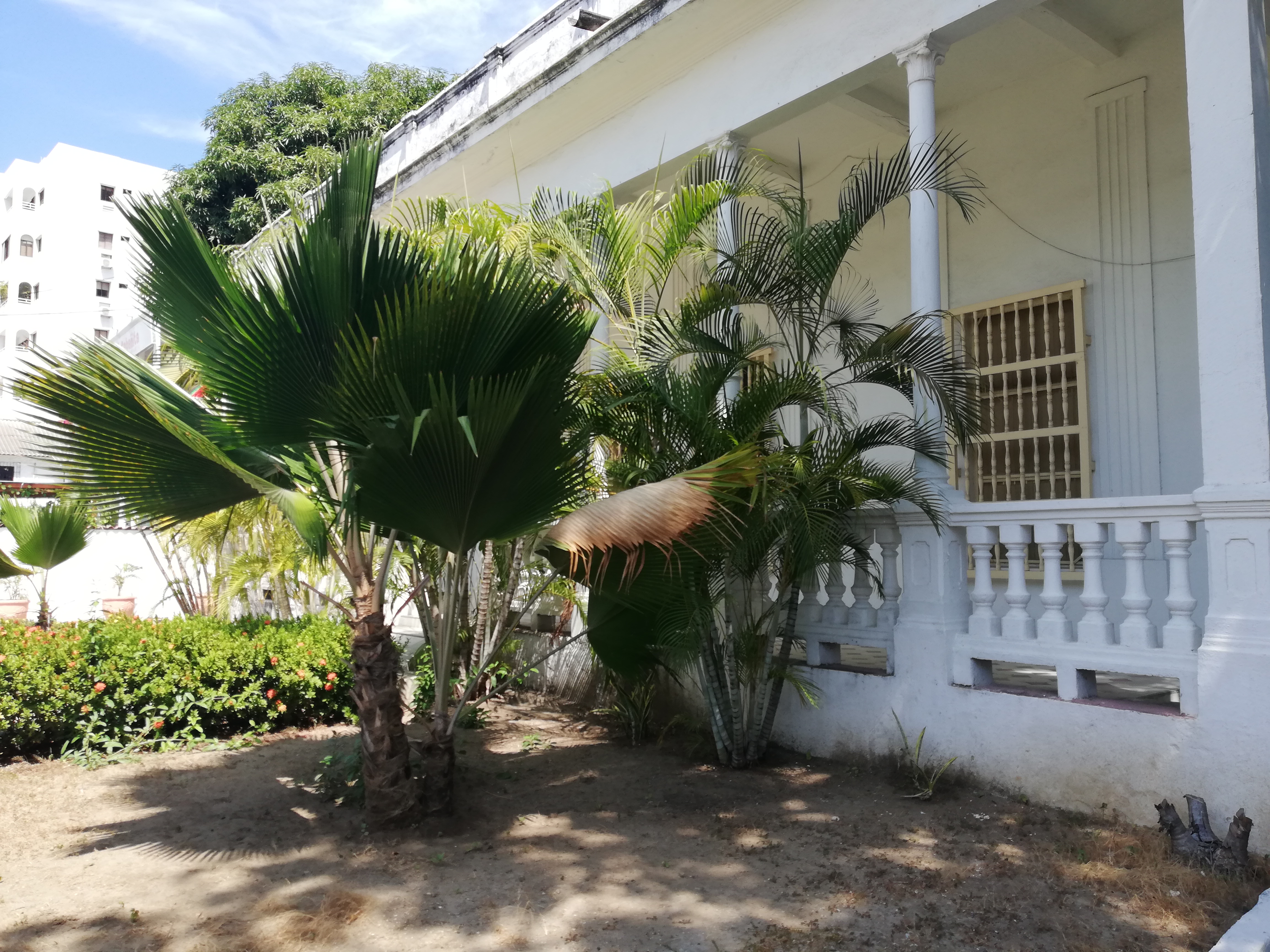 Cartagena Arriendo de Casa Manga