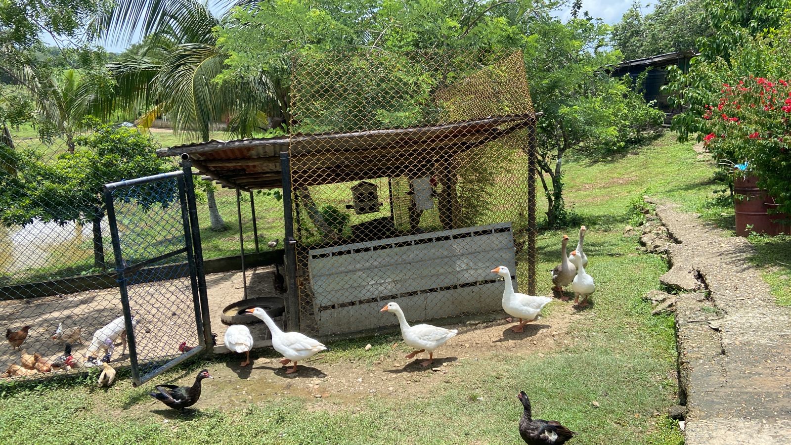 FINCA EN VENTA EN LA CORDIALIDAD - BOLIVAR