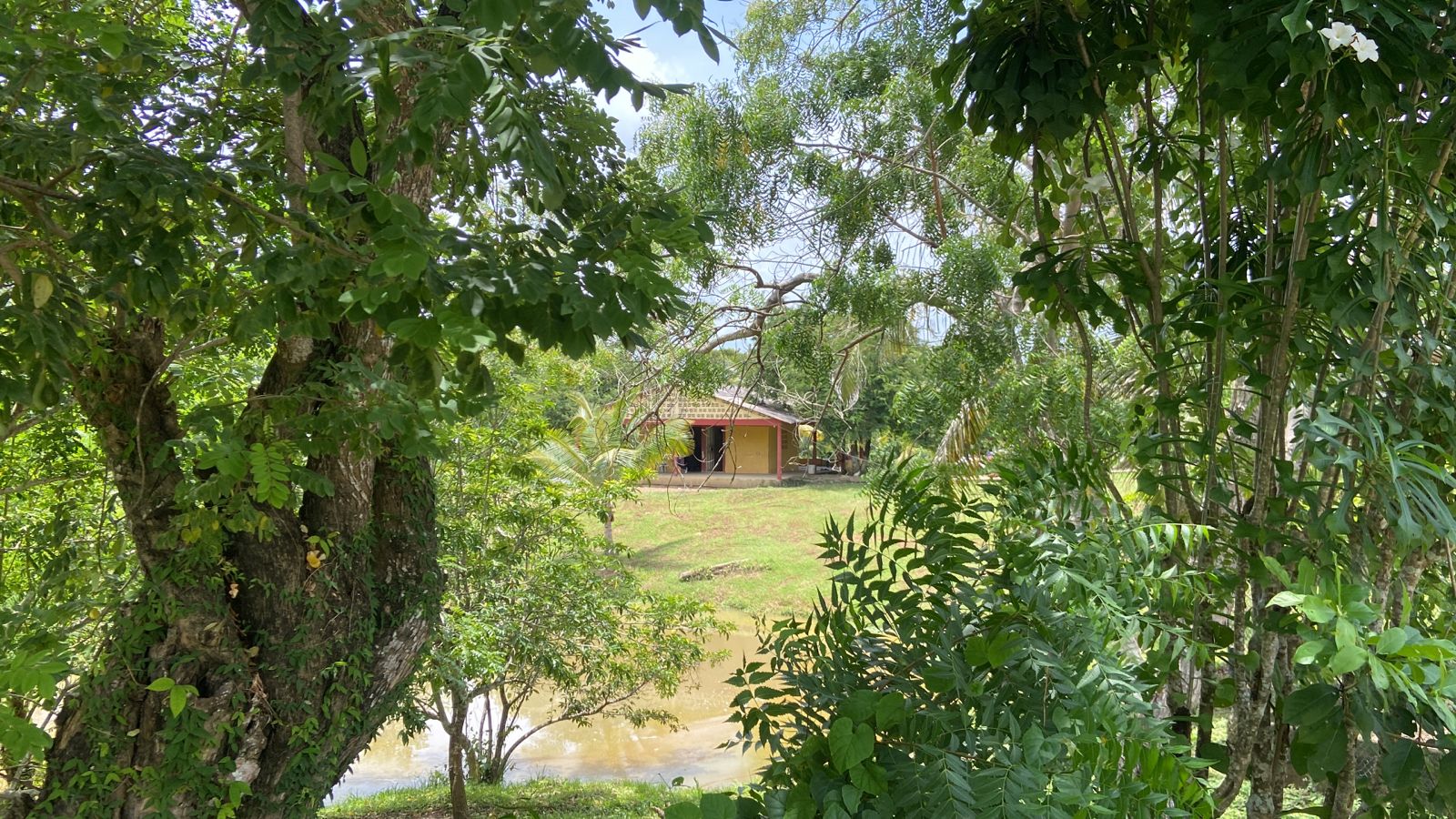 FINCA EN VENTA EN LA CORDIALIDAD - BOLIVAR