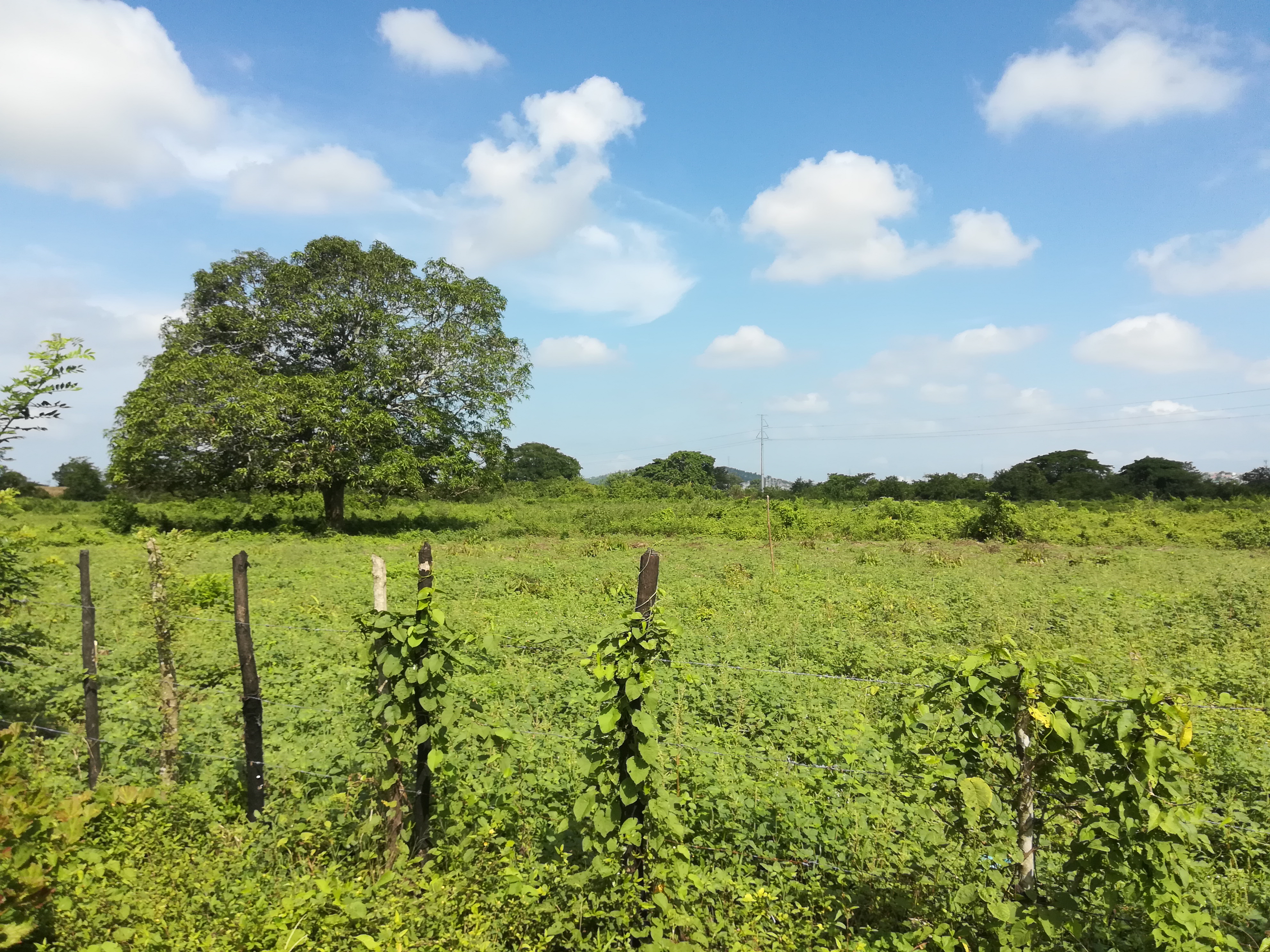 Cartagena Venta de Lote Mamonal