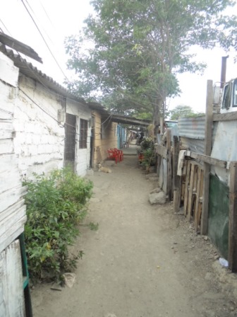 Cartagena Venta de Lote Bosque