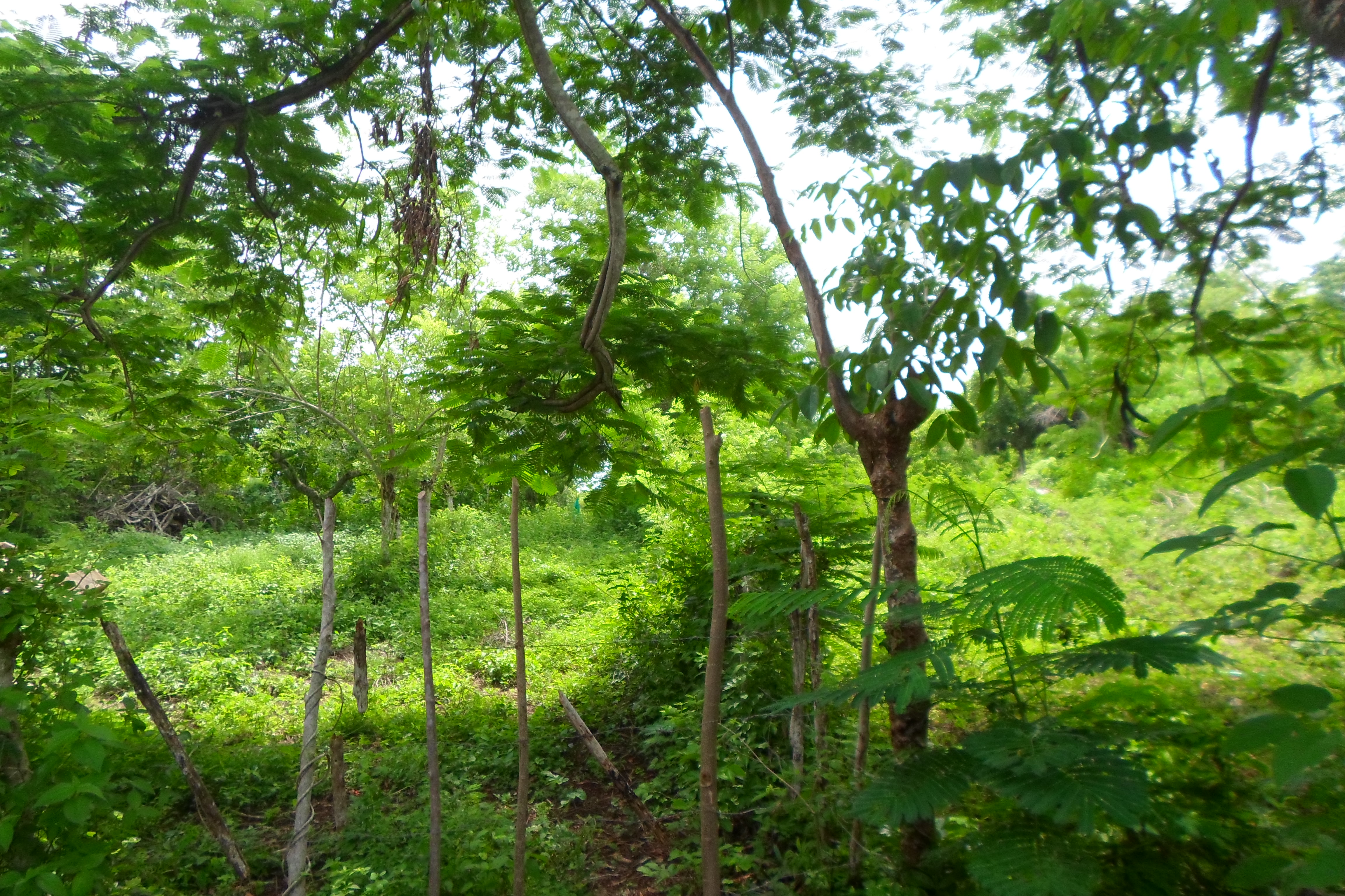 LOTE EN VENTA, TURBACO - CARTAGENA