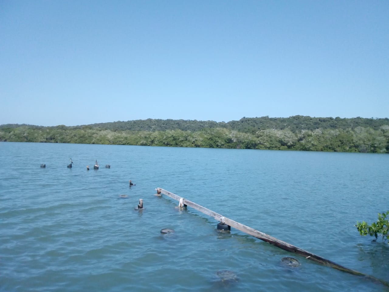 Lote en Venta, Barú - Cartagena.
