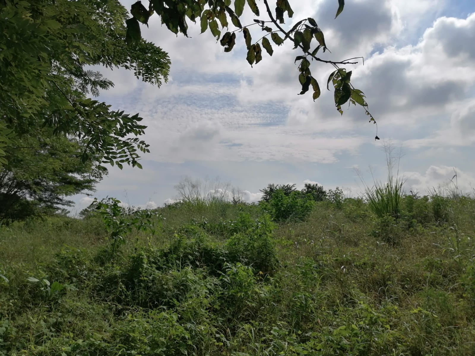 LOTE EN VENTA TURBANA  - BOLIVAR