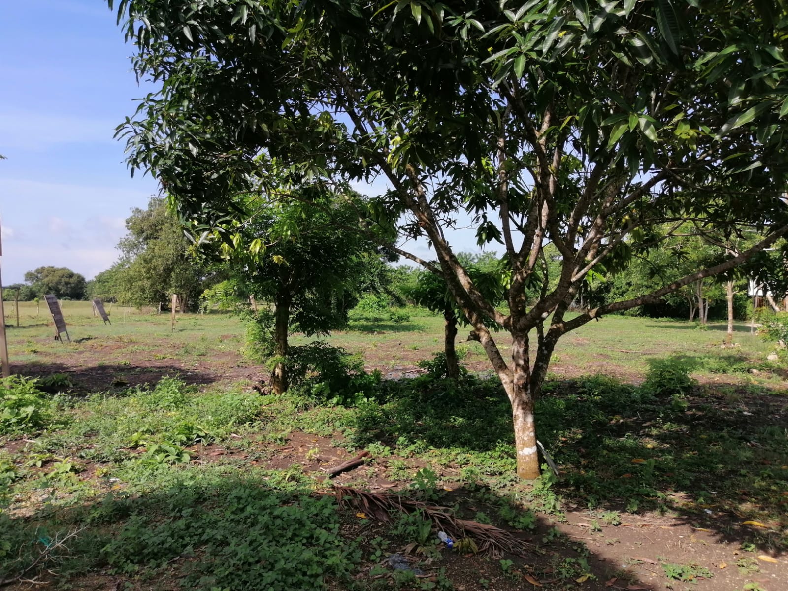 LOTE EN VENTA TURBANA  - BOLIVAR