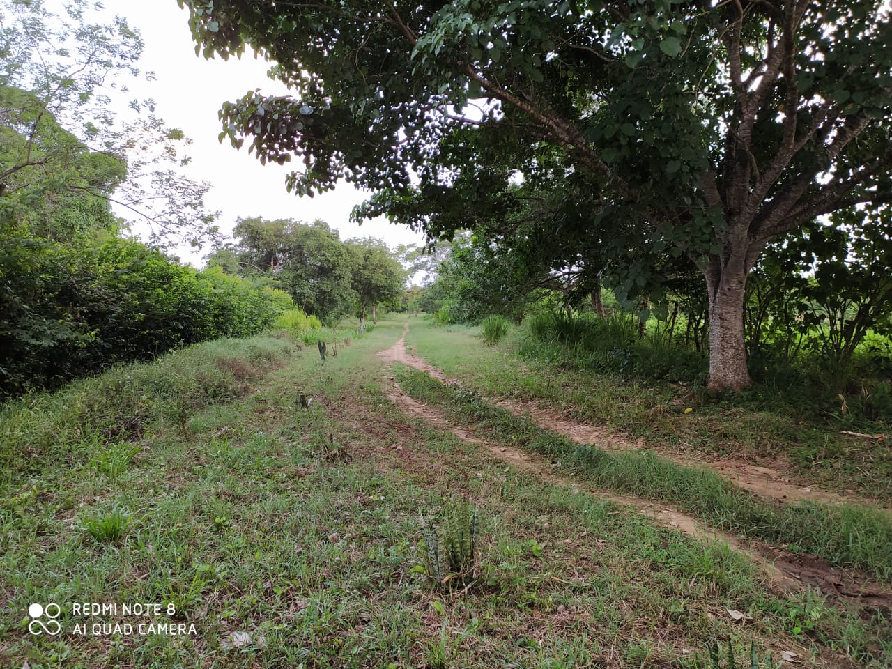 FINCA EN VENTA, GAMBOTE - CARTAGENA