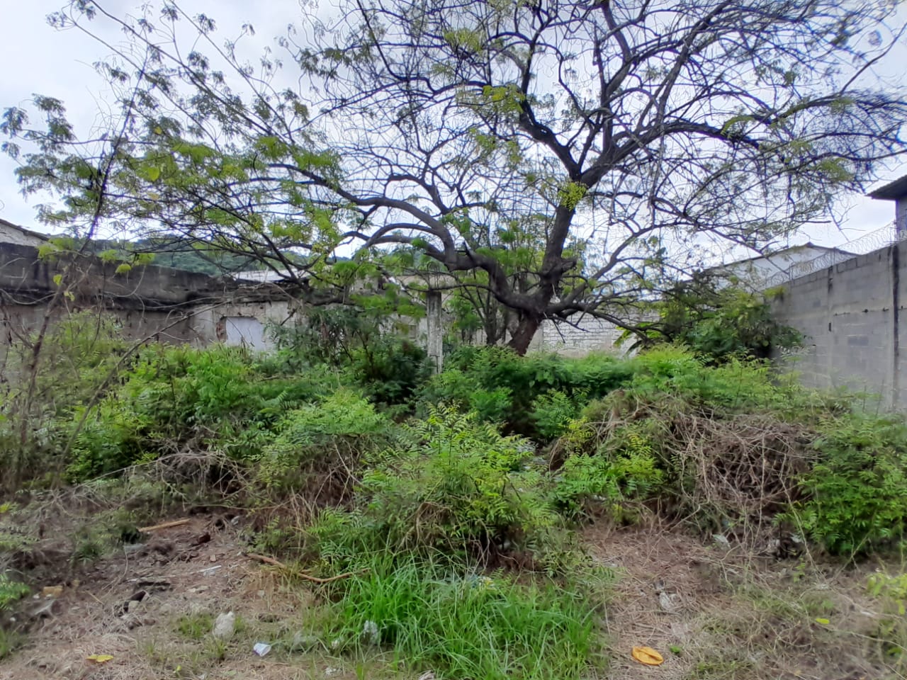 LOTE EN VENTA, LO AMADOR - CARTAGENA