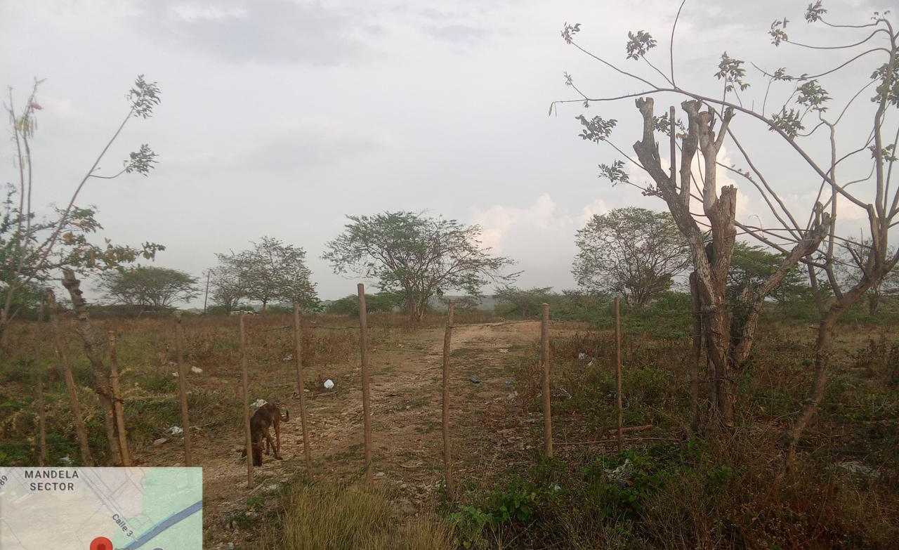 LOTE EN VENTA MAMONAL - CARTAGENA