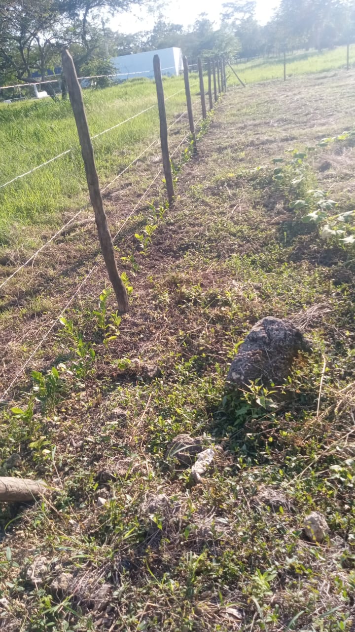 LOTE EN VENTA ARJONA - CARTAGENA