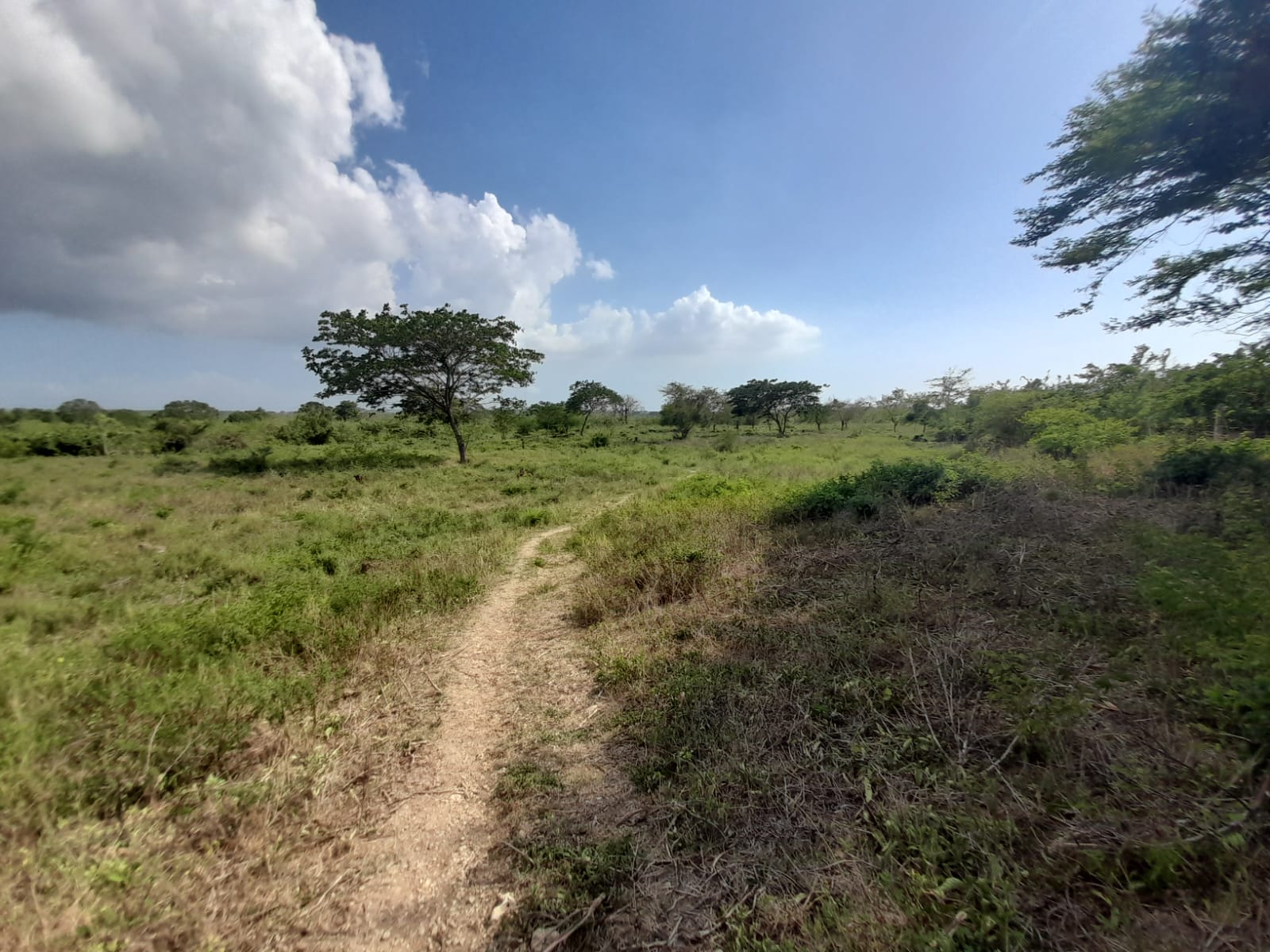 LOTE EN VENTA VARIANTE VÌA MAMONAL - CARTAGENA