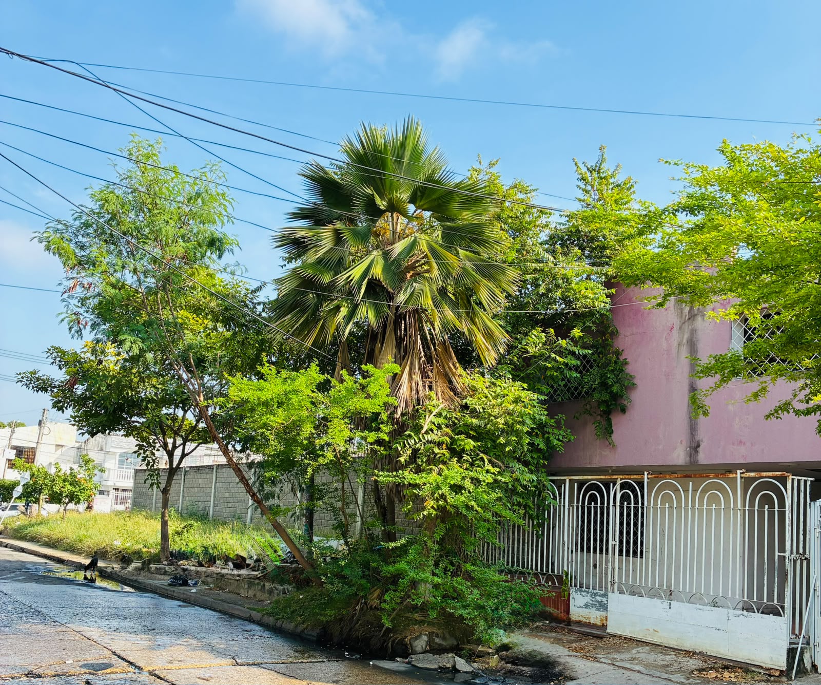 LOTE EN VENTA ALAMEDA LA VICTORIA -CARTAGENA
