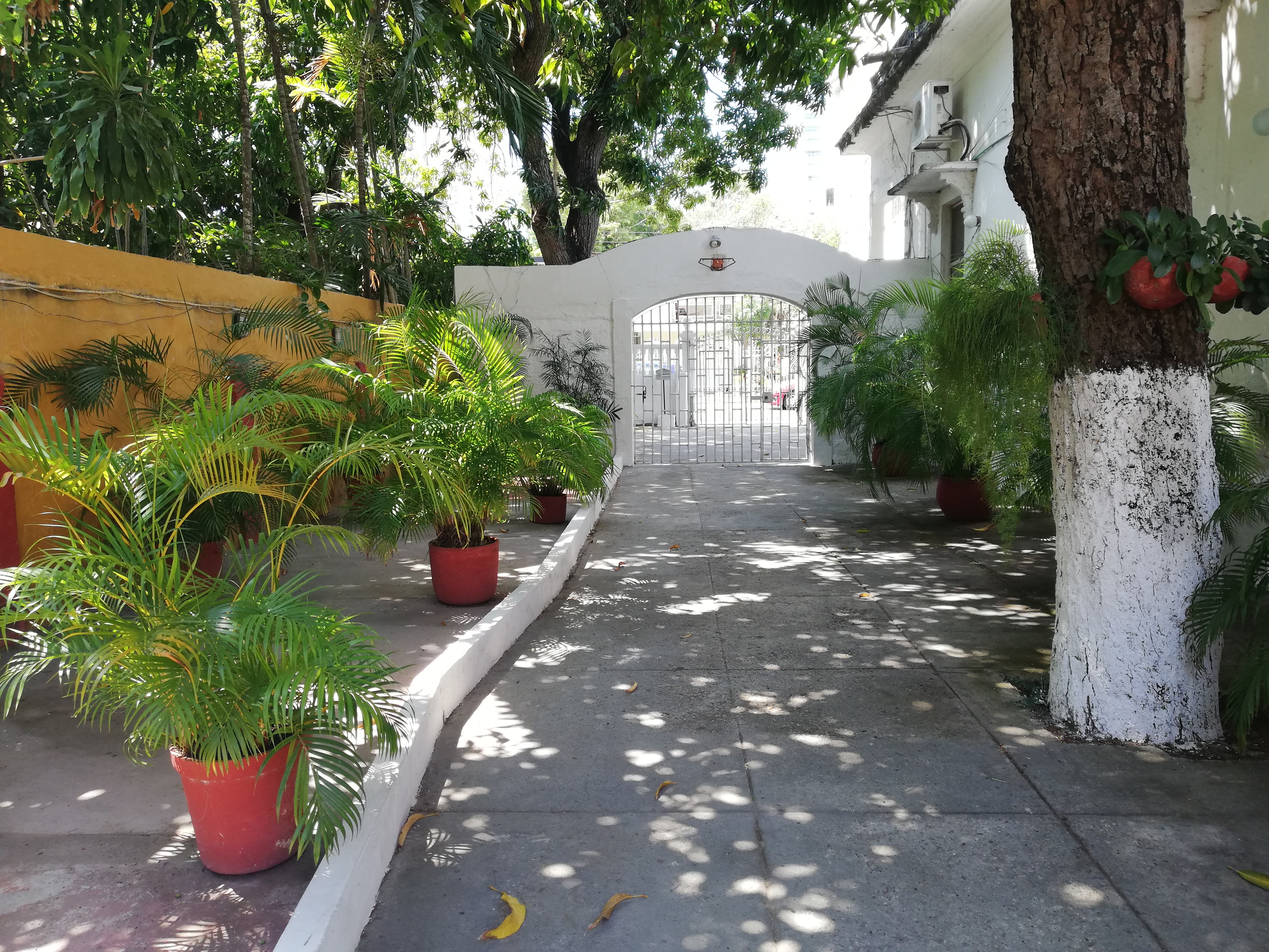 Cartagena Arriendo de Casa Manga