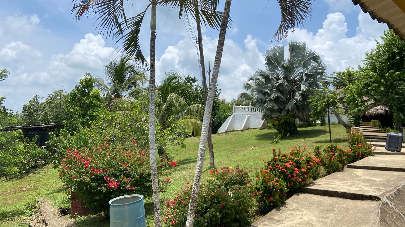 FINCA EN VENTA EN LA CORDIALIDAD - BOLIVAR