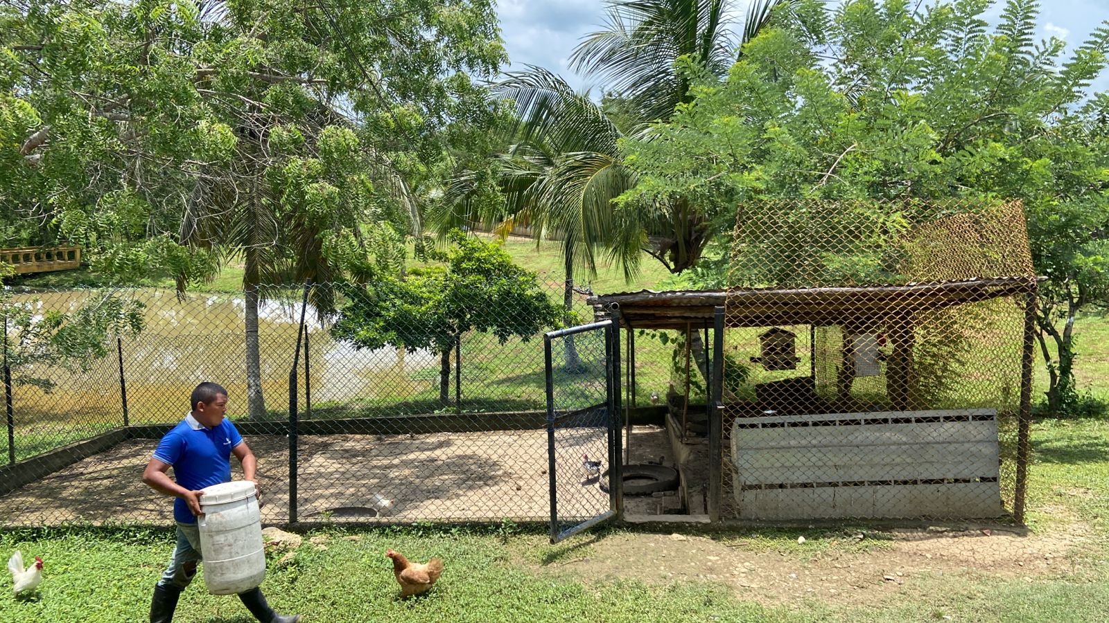 FINCA EN VENTA EN LA CORDIALIDAD - BOLIVAR
