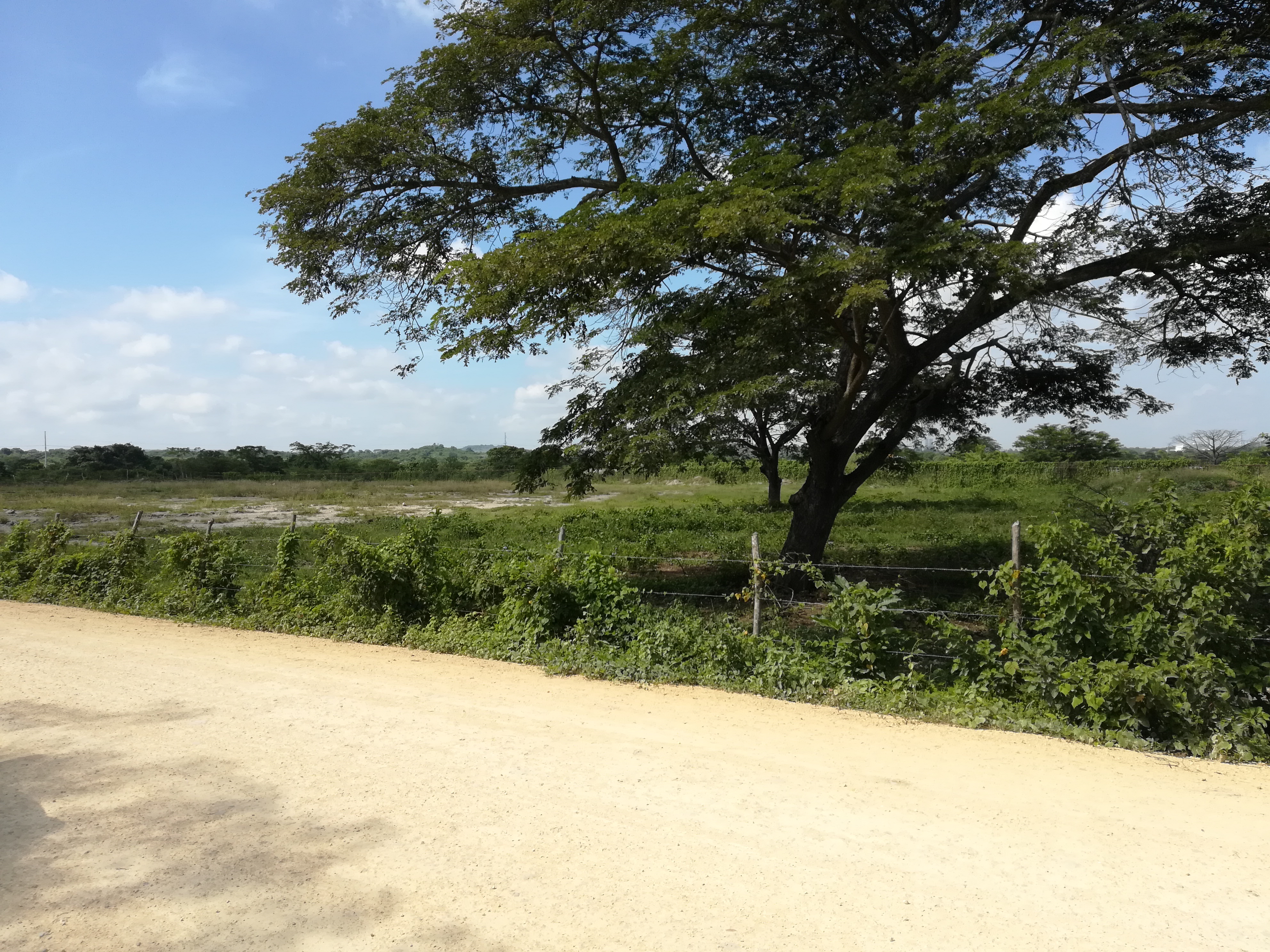 Cartagena Venta de Lote Mamonal