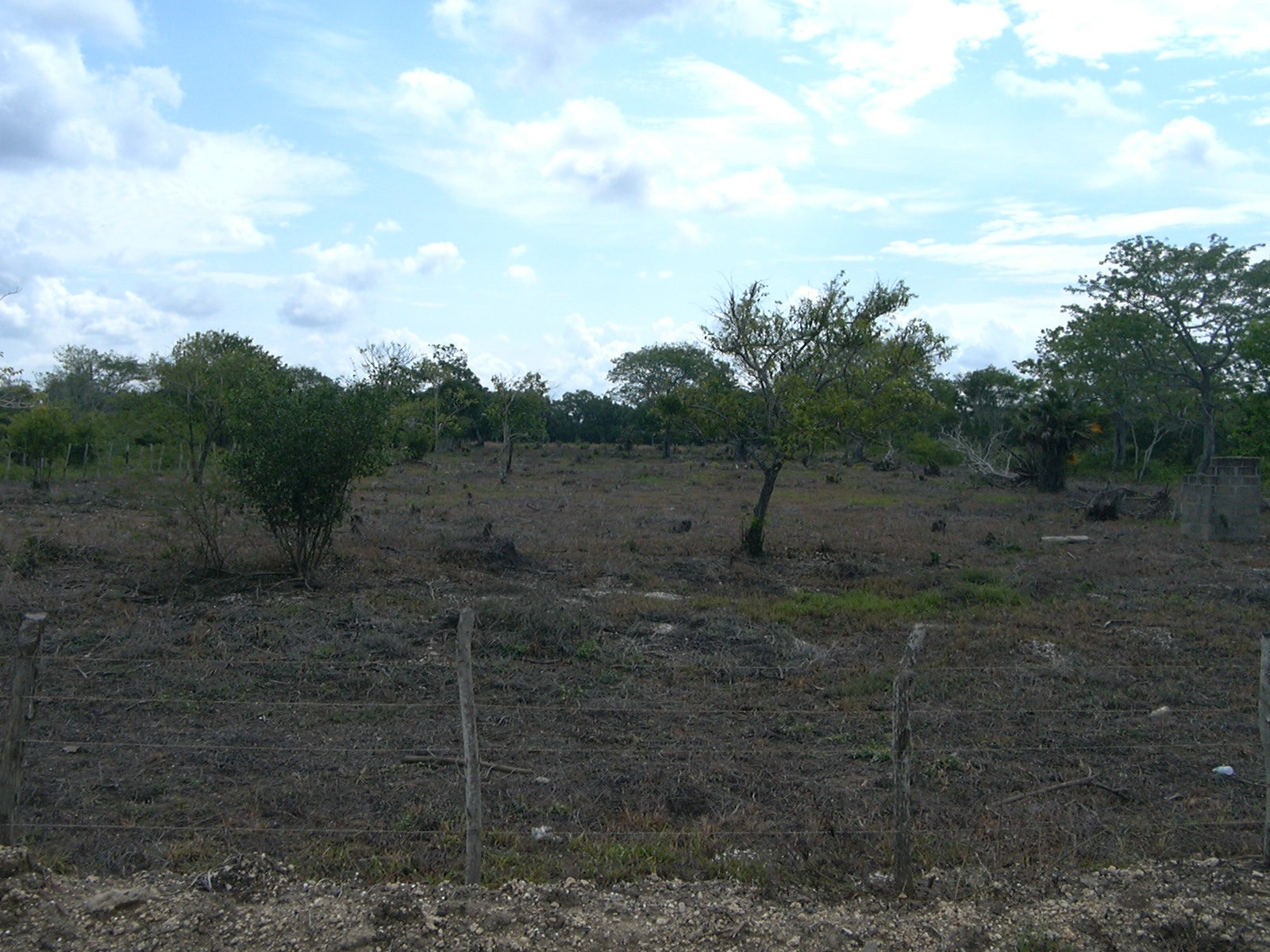 Cartagena Venta de Lote Manzanillo del Mar