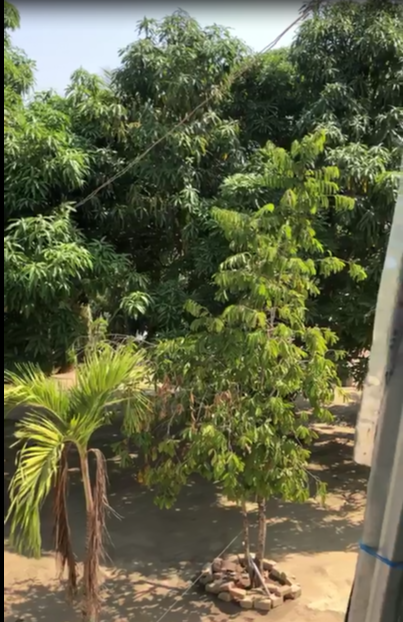 Turbaco Venta Lote Troncal del Caribe