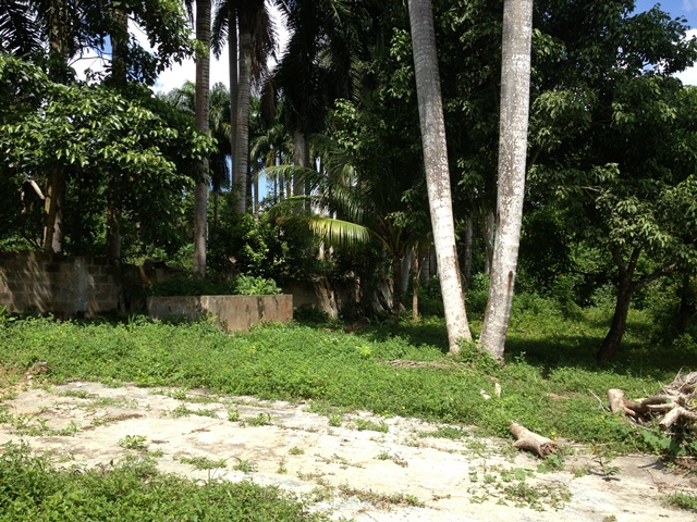 LOTE NE ARRIENDO, TURBACO - CARTAGENA