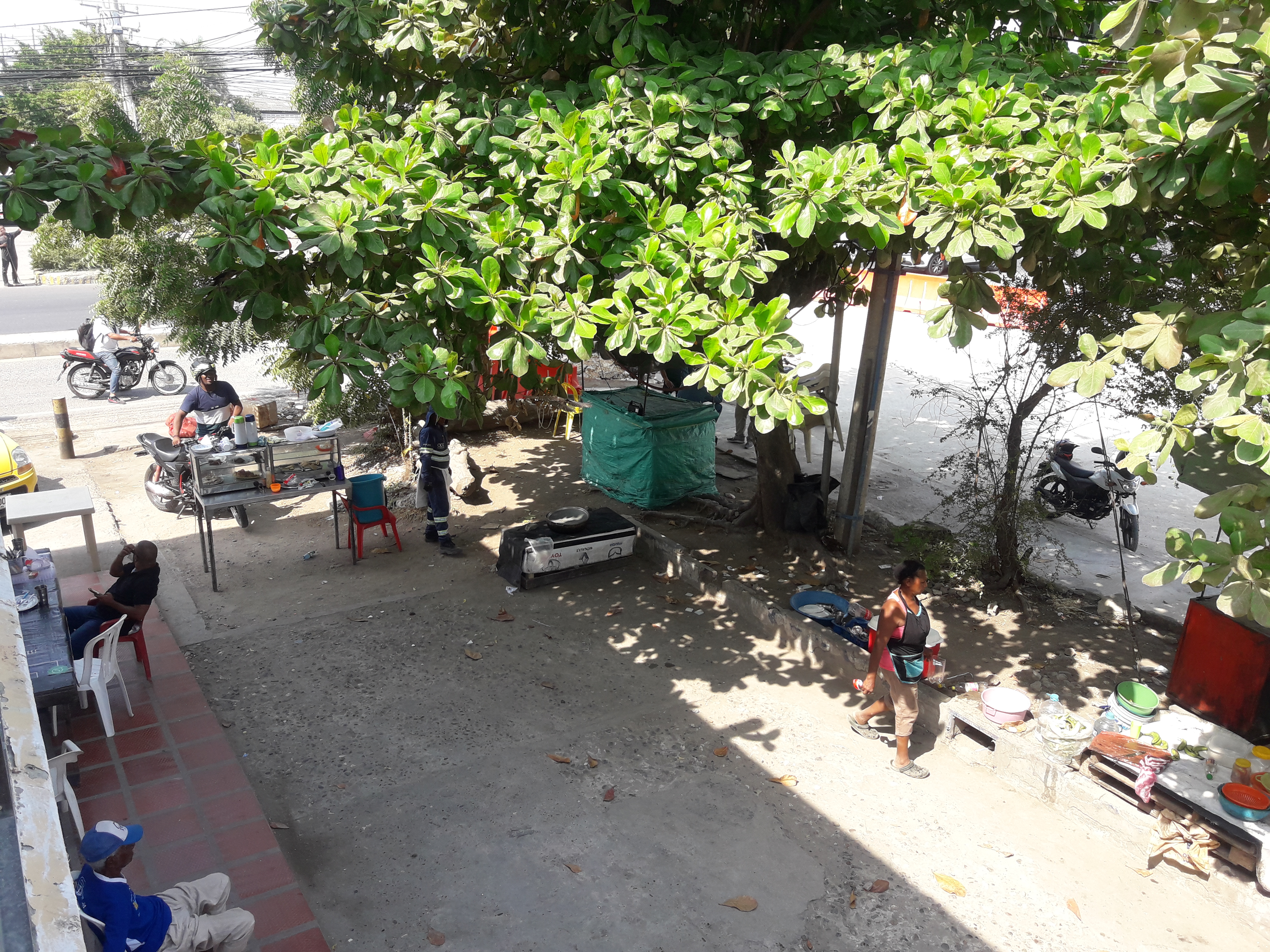 Cartagena Venta Local Bosque