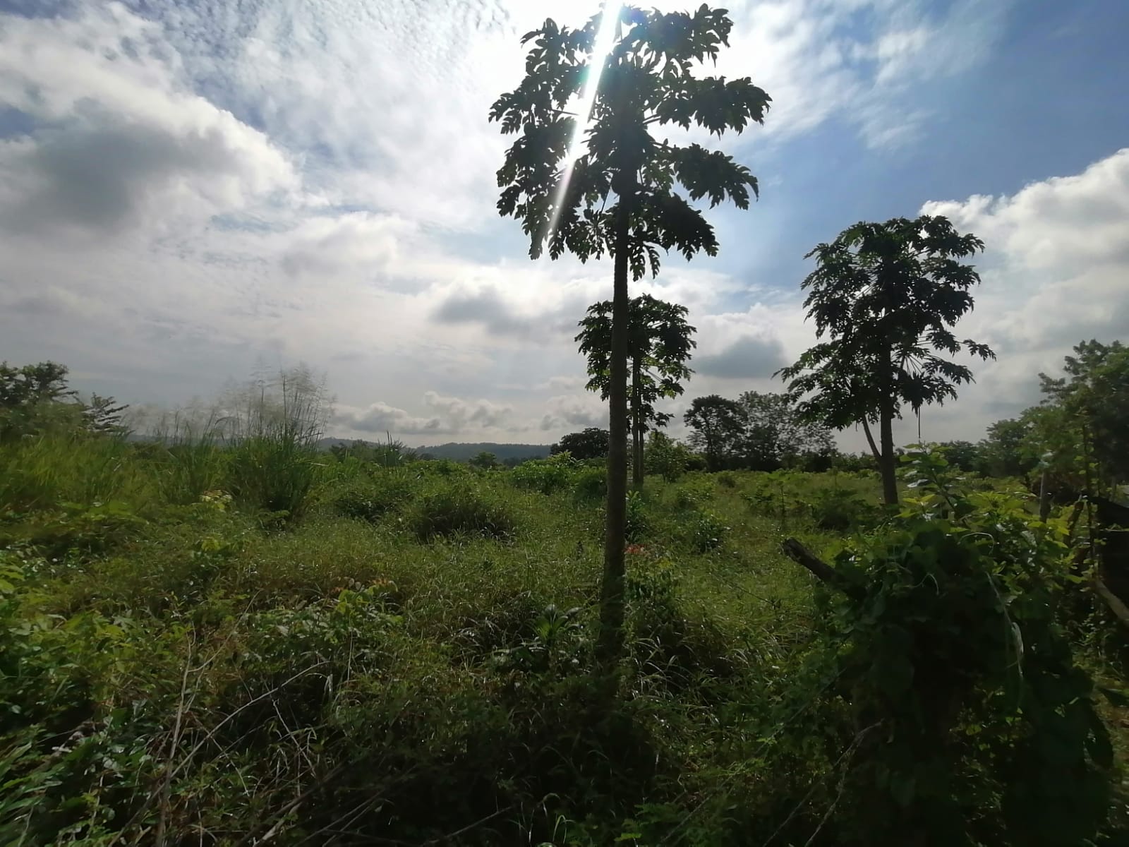 LOTE EN VENTA TURBANA  - BOLIVAR