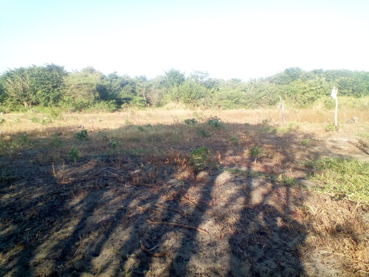 LOTE EN VENTA ZONA NORTE - CARTAGENA