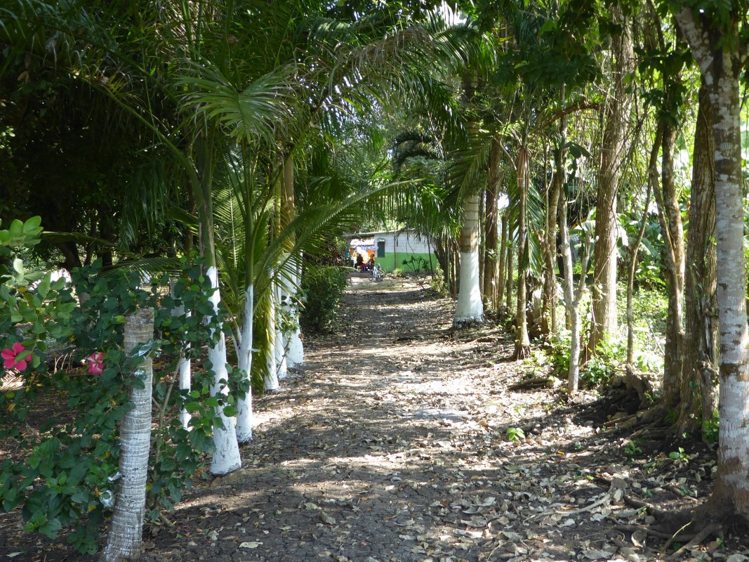 LOTE EN VENTA, TURBACO - CARTAGENA