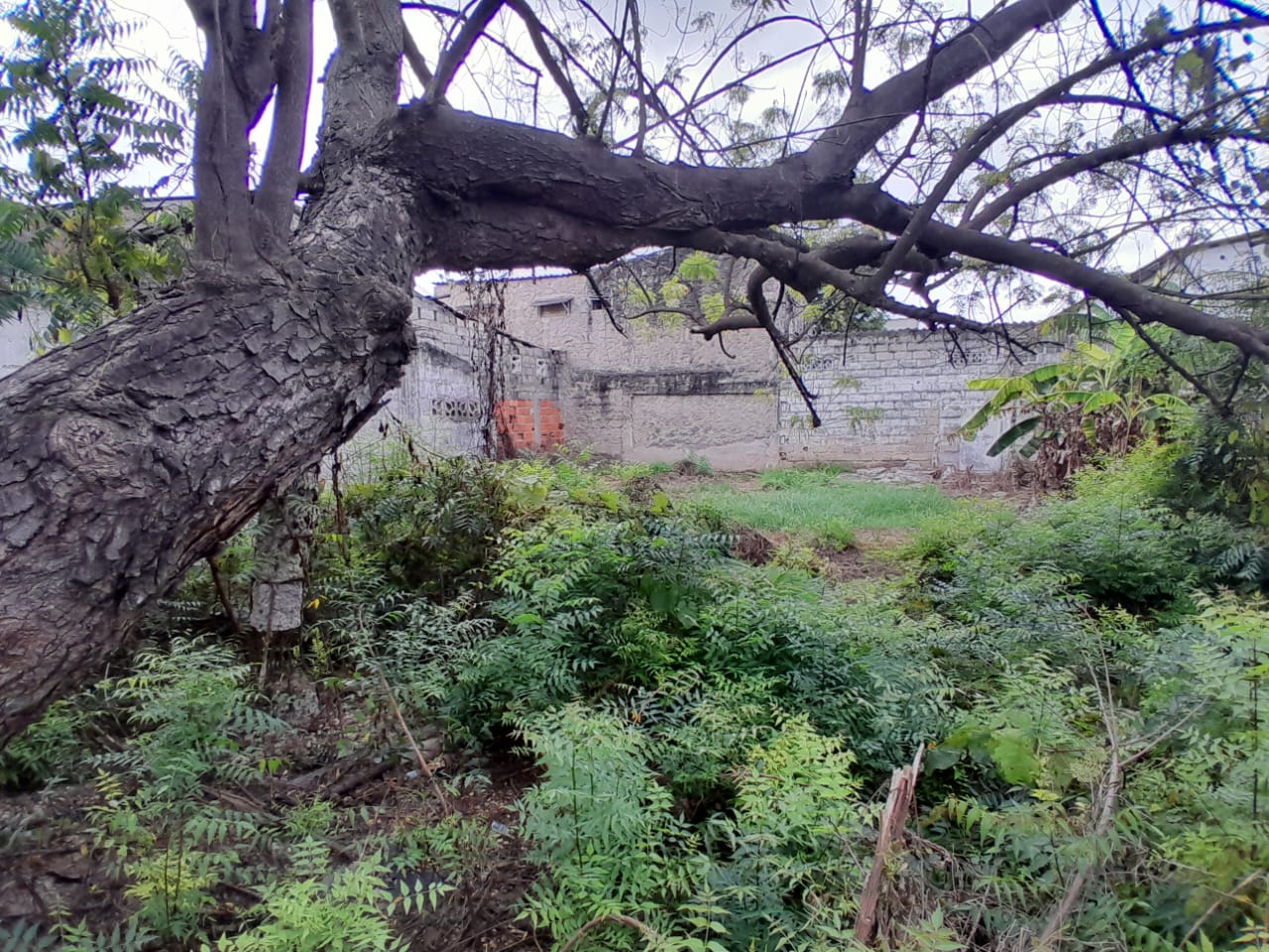 LOTE EN VENTA, LO AMADOR - CARTAGENA