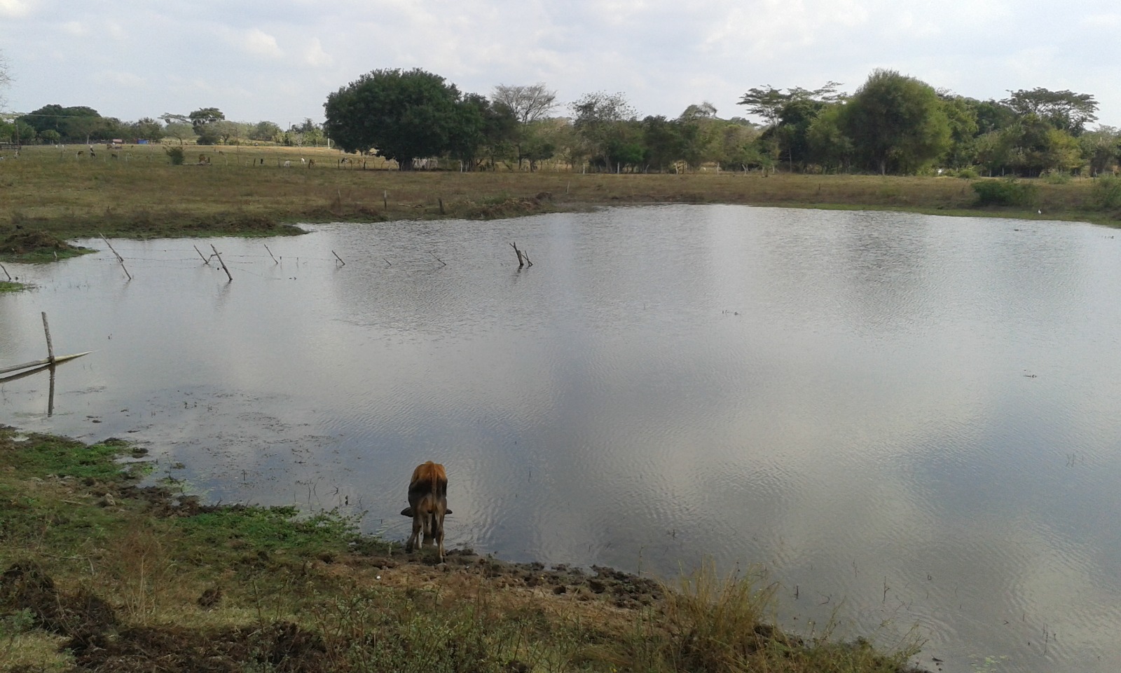 FINCA EN ARRIENDO MAHATES - CARTAGENA