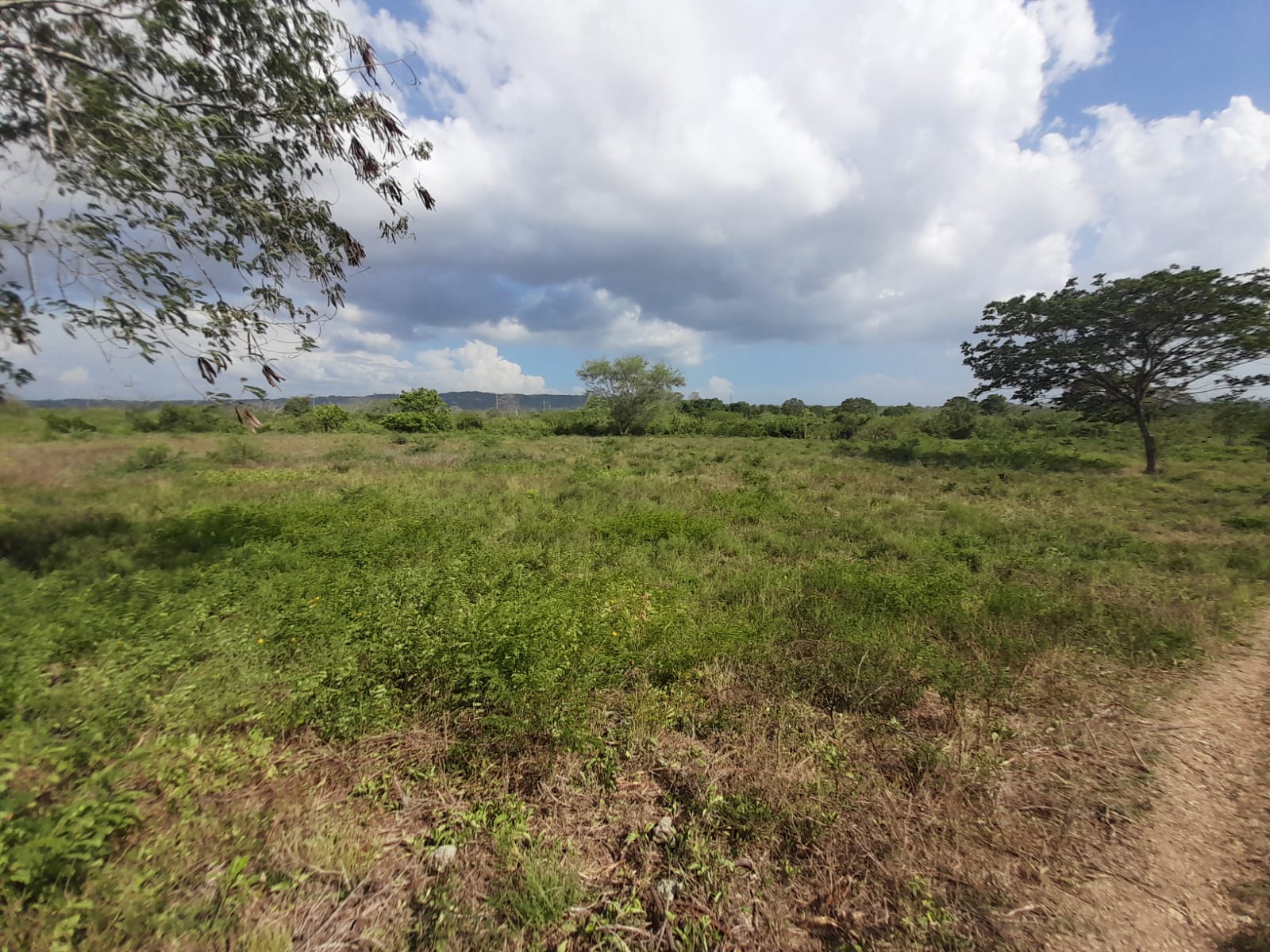 LOTE EN VENTA VARIANTE VÌA MAMONAL - CARTAGENA
