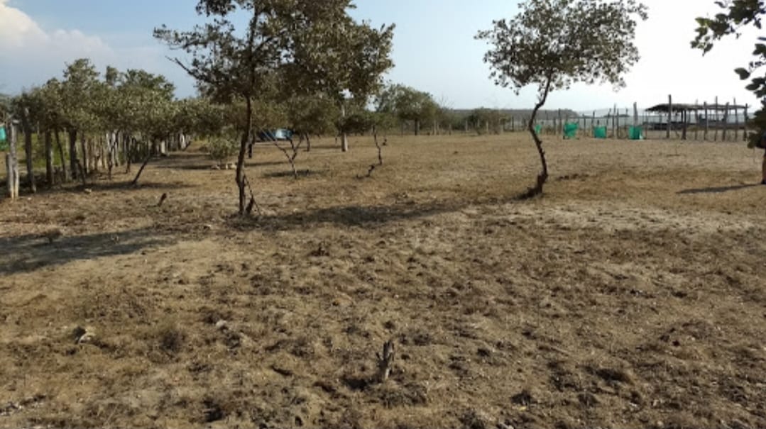 VENTA DE LOTE EN LOMITA ARENA - CARTAGENA