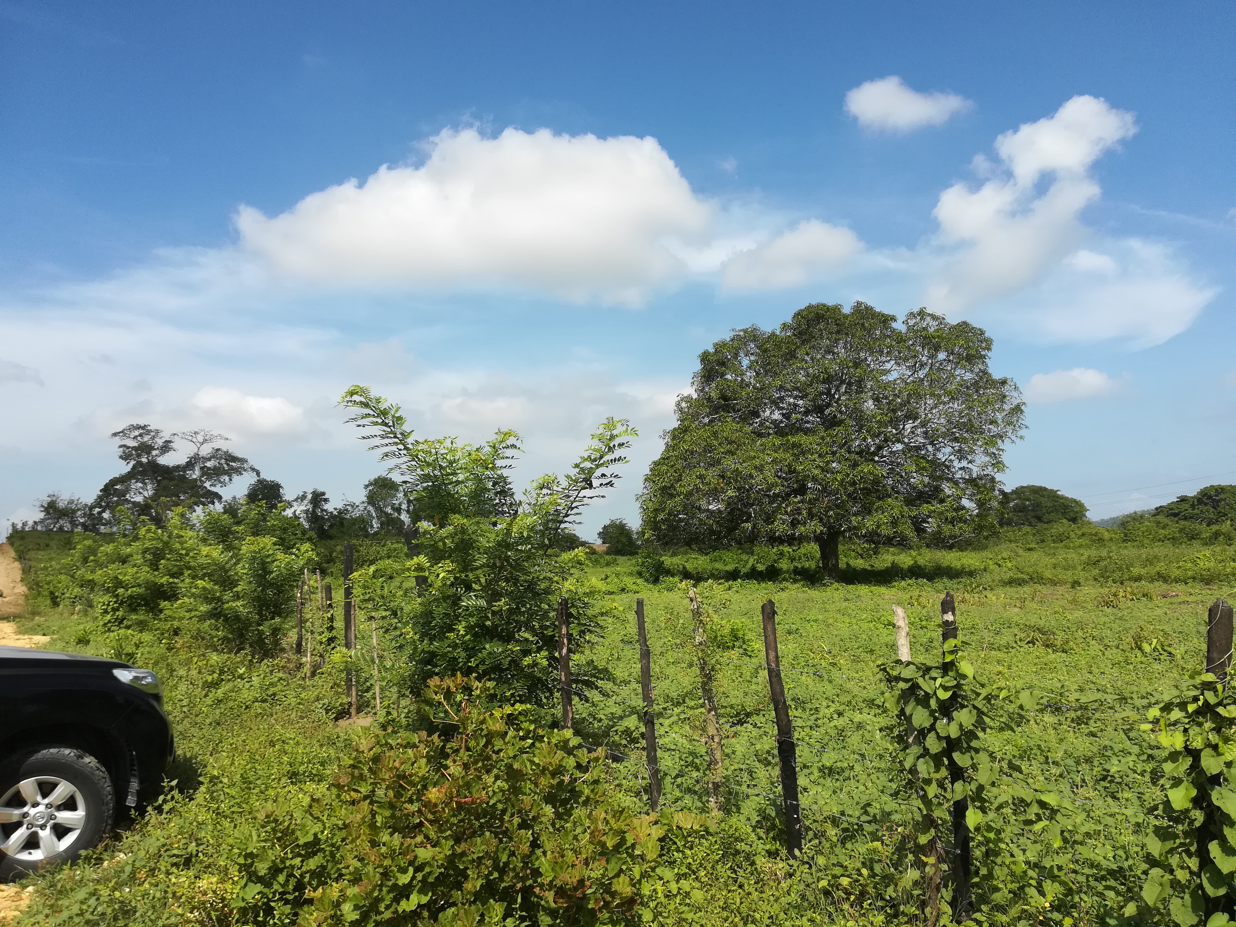 Cartagena Venta de Lote Mamonal