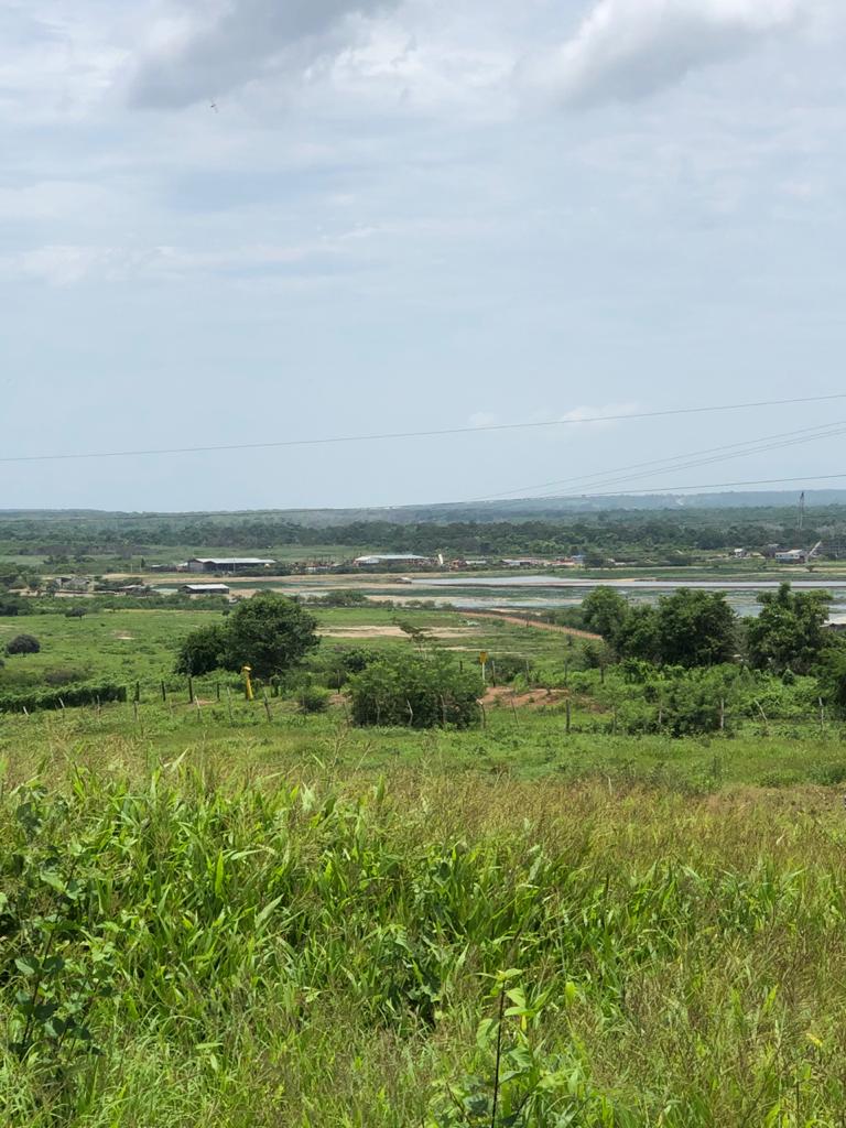 Cartagena Venta Lote Mamonal