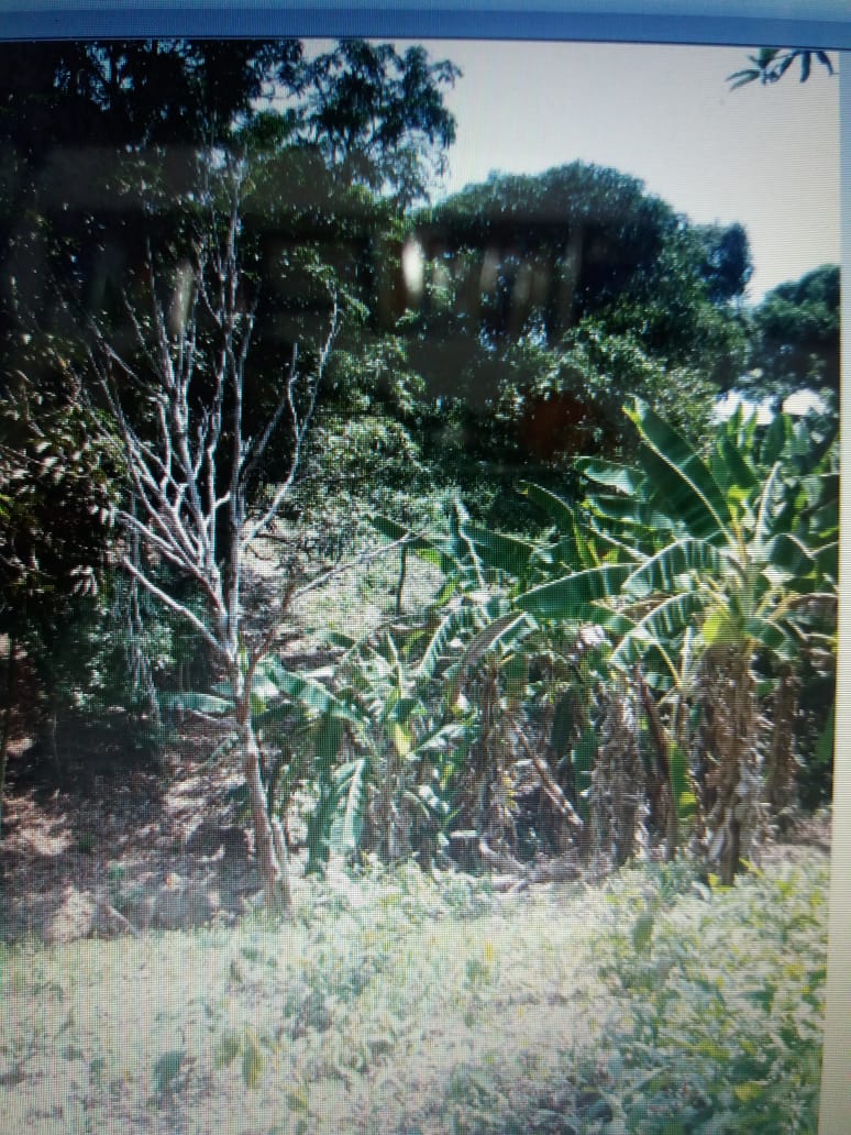 Cartagena Venta Lote Mamonal