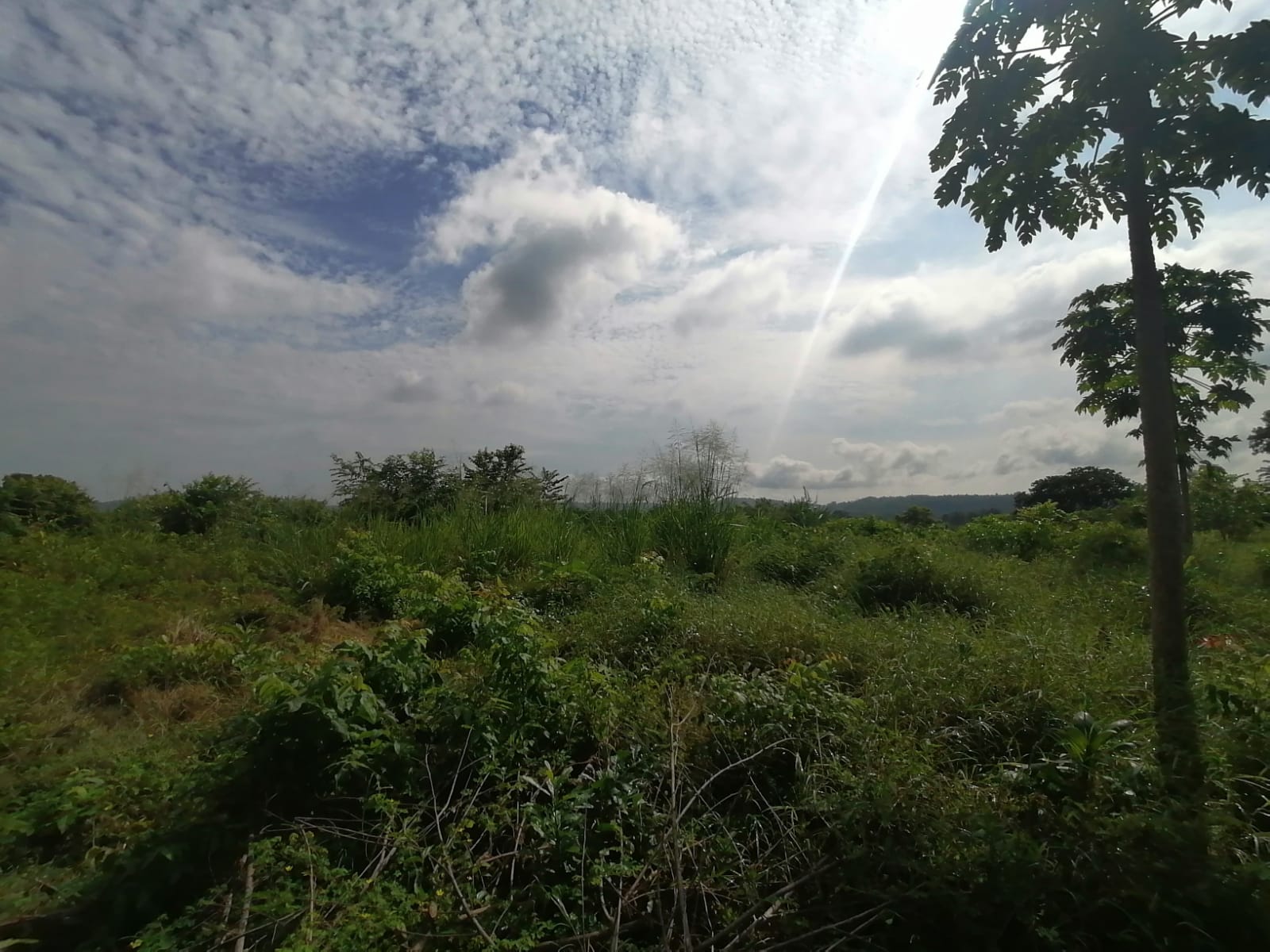 LOTE EN VENTA TURBANA  - BOLIVAR