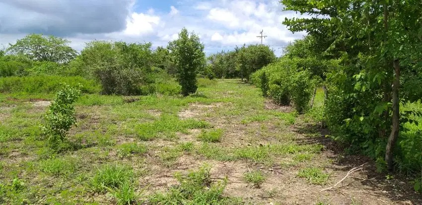 LOTE EN VENTA  LA BOQUILLA - CARTAGENA