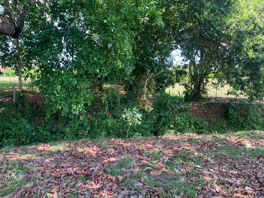 LOTE EN VENTA TURBACO - BOLIVAR