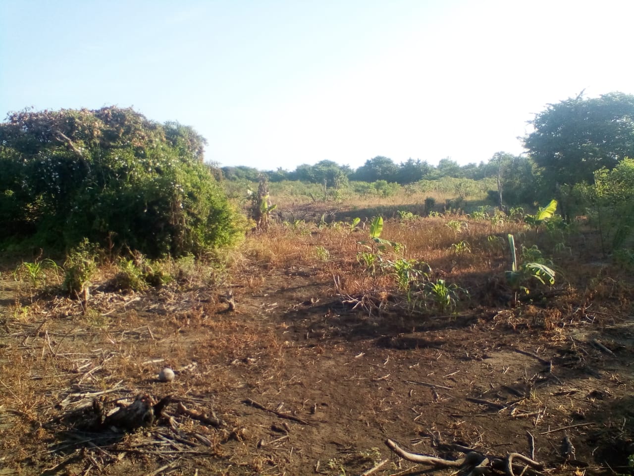 LOTE EN VENTA ZONA NORTE - CARTAGENA