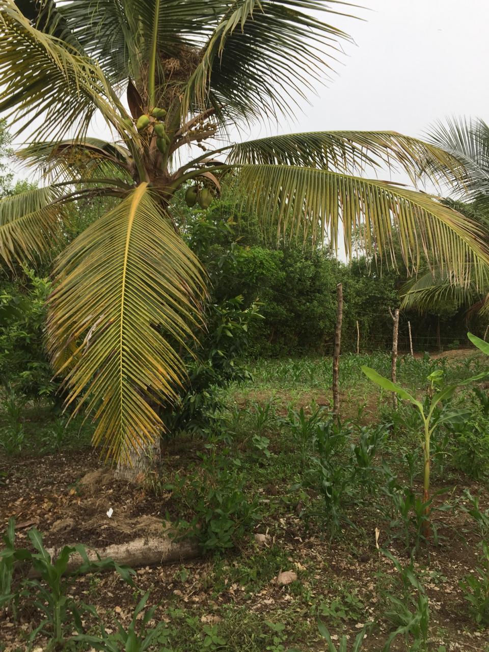 LOTE EN VENTA  LA BOQUILLA - CARTAGENA
