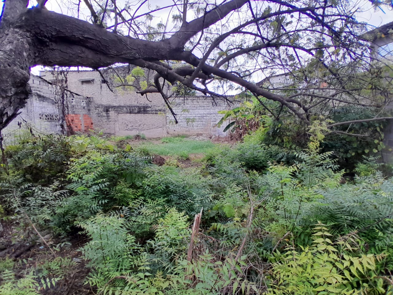 LOTE EN VENTA, LO AMADOR - CARTAGENA