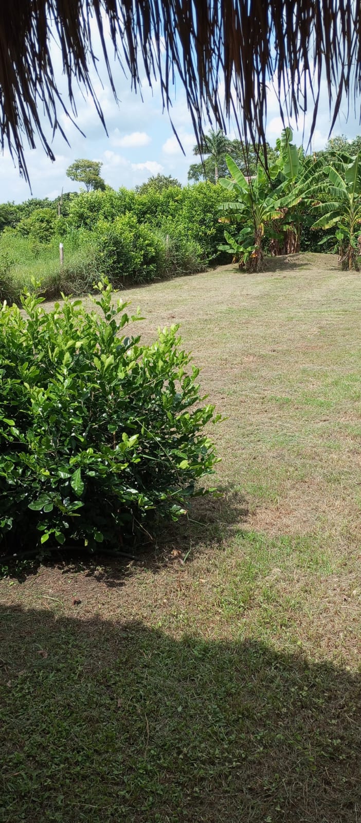 LOTE EN VENTA SANTA ROSA - CARTAGENA