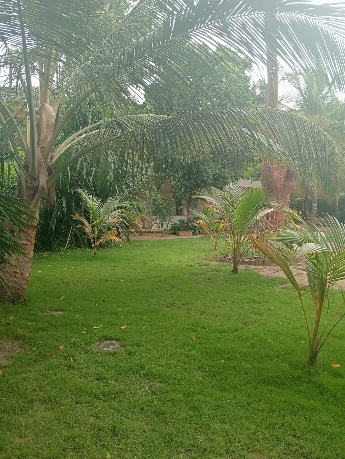 CASA EN VENTA BARU - CARTAGENA