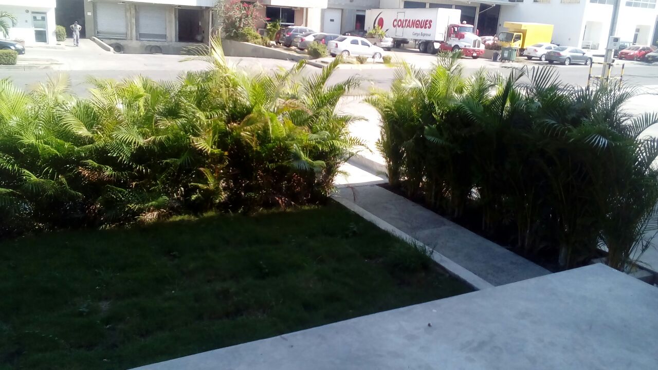 Cartagena Venta Bodega Mamonal