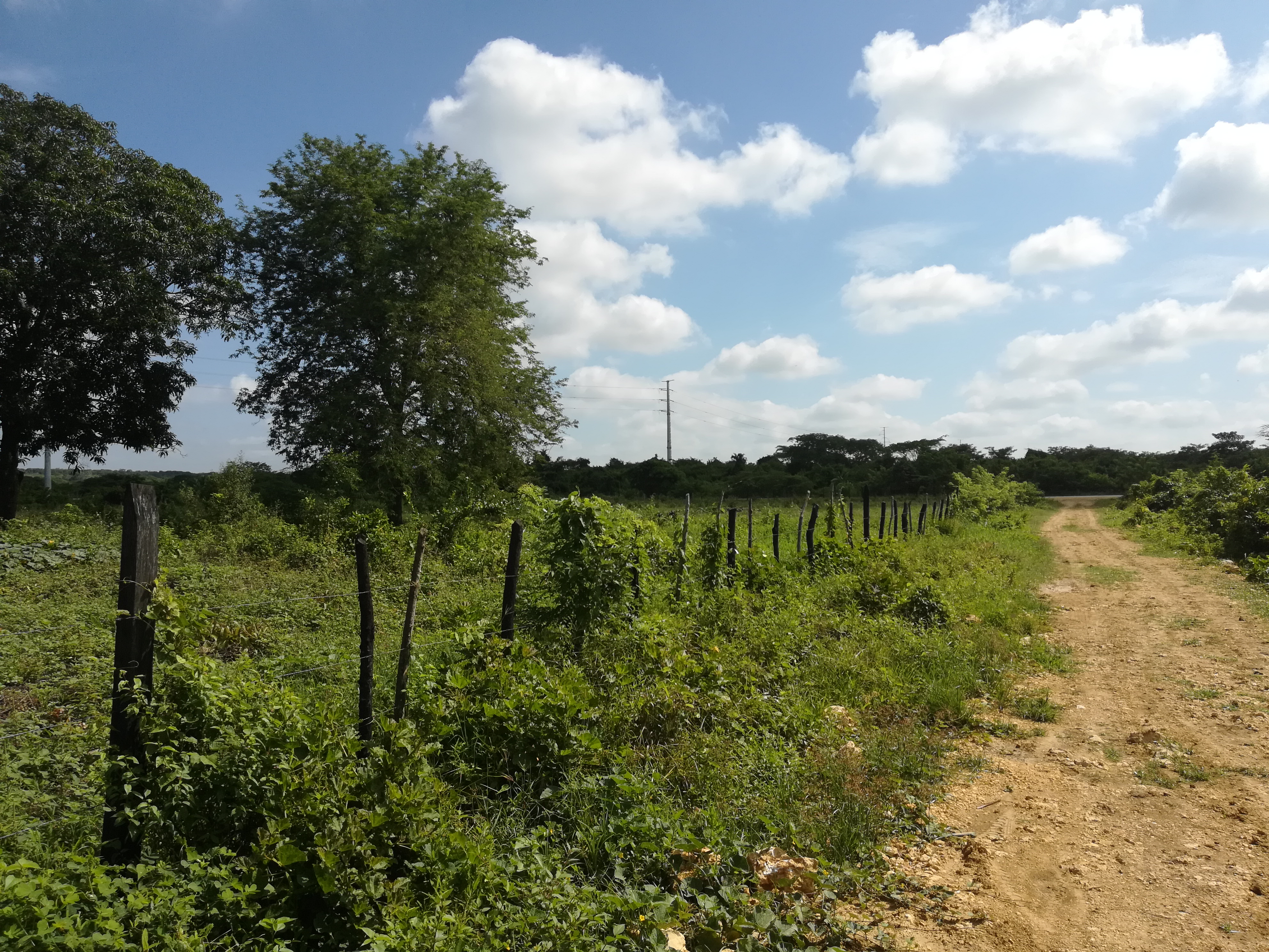 Cartagena Venta de Lote Mamonal