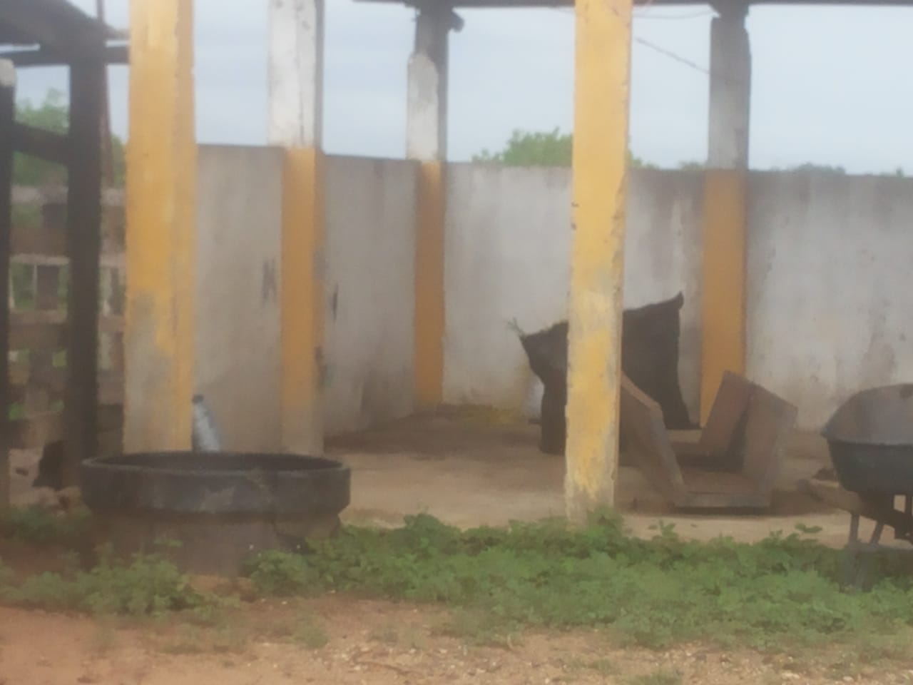 Cartagena Venta Finca Coordialidad